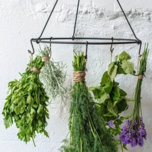Dill Spray
