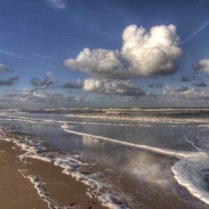 North Sea Geurfles