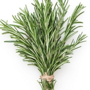 Rosemary Geurfles