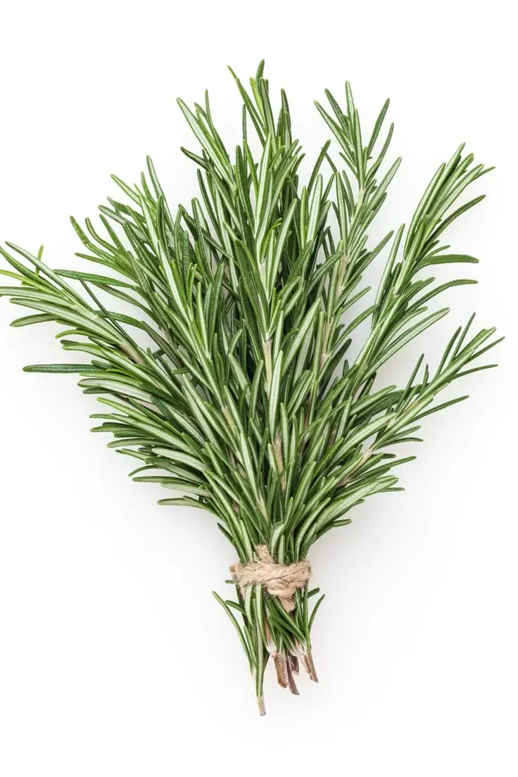 Rosemary Spray - Scents